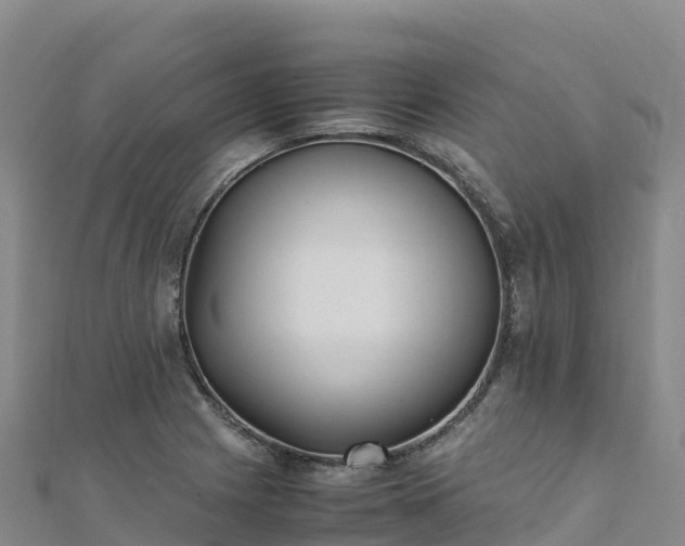 X0000110731225200906191519