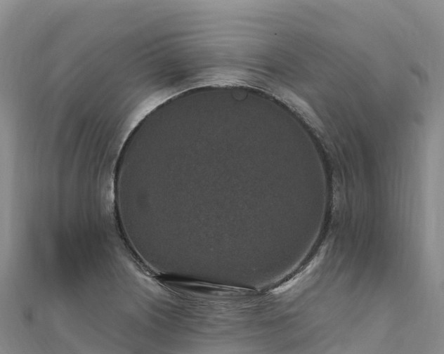X0000110731226200906191519