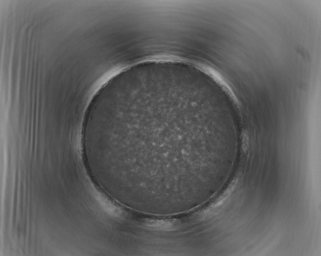 X0000110731229200906191519
