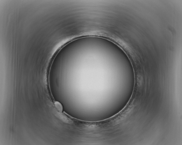 X0000110731230200906191519