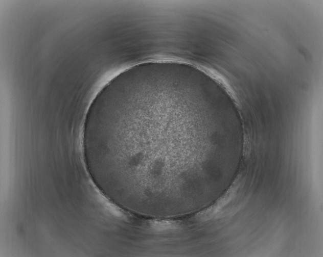 X0000110731231200906191519