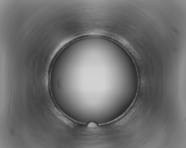 X0000110731232200906191519