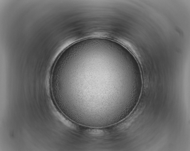 X0000110731235200906191519