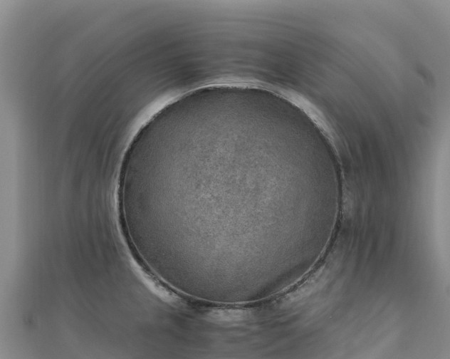 X0000110731237200906191519