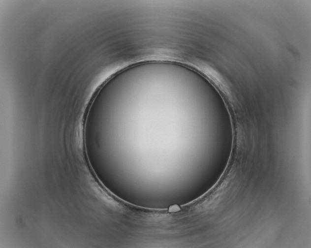 X0000110731238200906191519