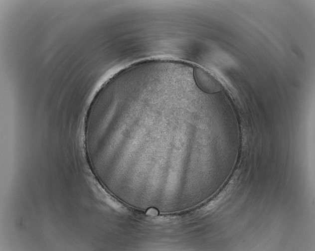 X0000110731240200906191519
