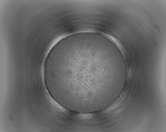 X0000110731243200906191519