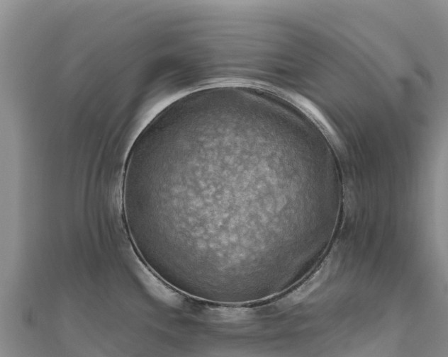 X0000110731244200906191519