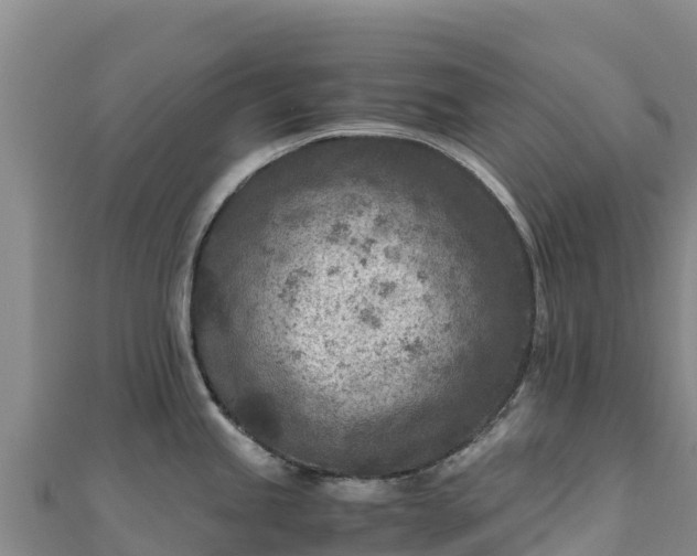 X0000110731245200906191519