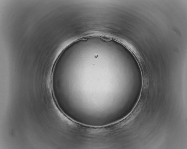 X0000110731247200906191519