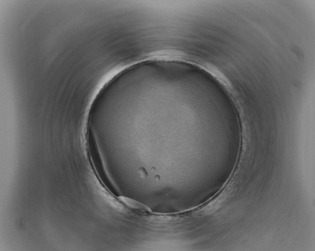 X0000110731248200906191520