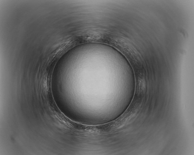 X0000110731250200906191519