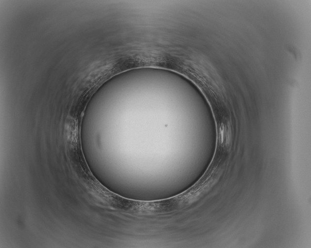 X0000110731251200906191519