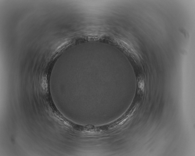 X0000110731252200906191519