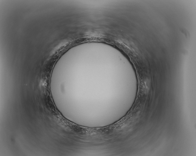 X0000110731254200906191519