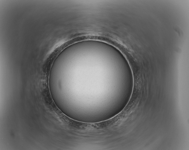 X0000110731255200906191519