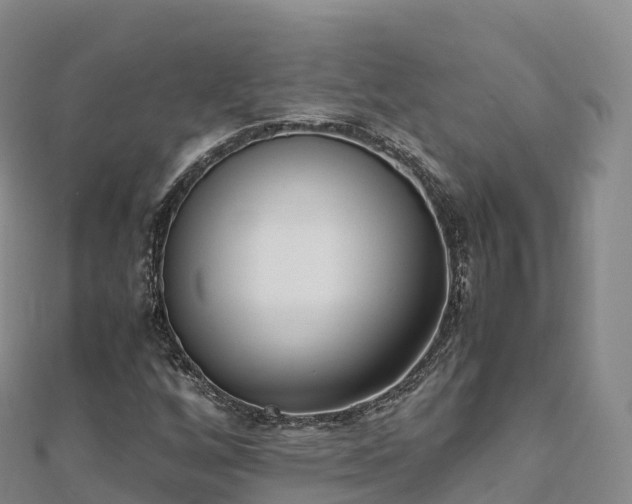 X0000110731256200906191519