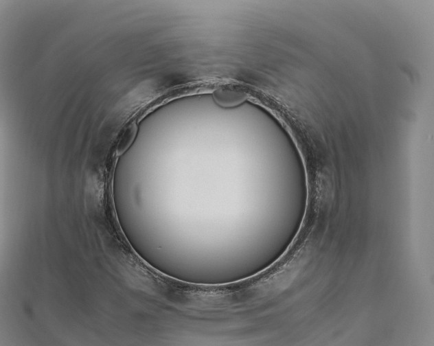 X0000110731257200906191519