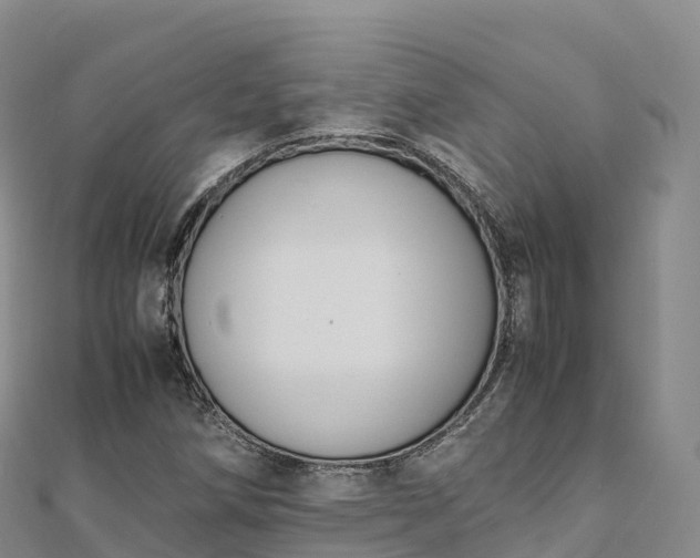 X0000110731258200906191519