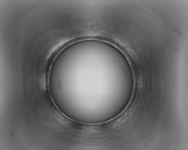 X0000110731262200906191519