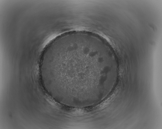 X0000110731263200906191519