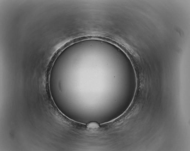 X0000110731264200906191519