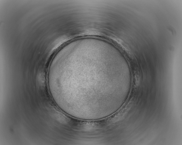 X0000110731266200906191519