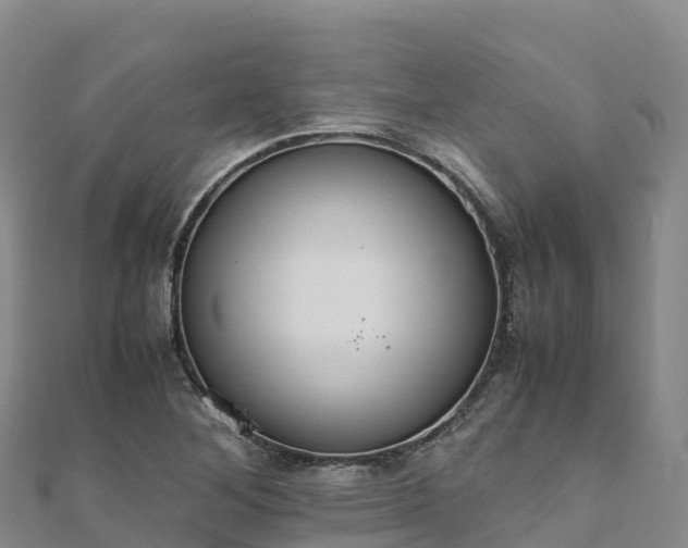 X0000110731268200906191519