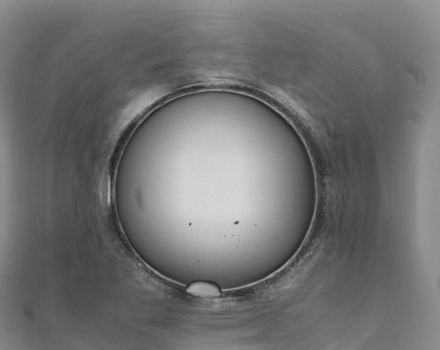 X0000110731269200906191519
