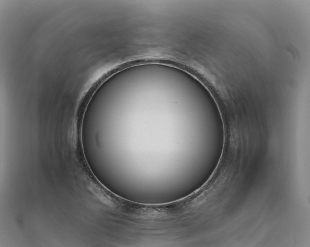 X0000110731270200906191519