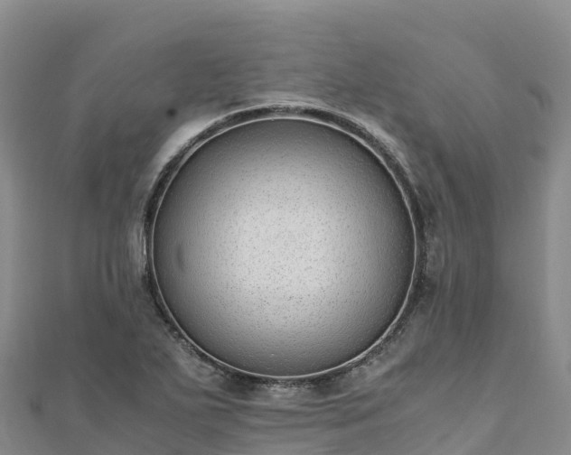 X0000110731271200906191519