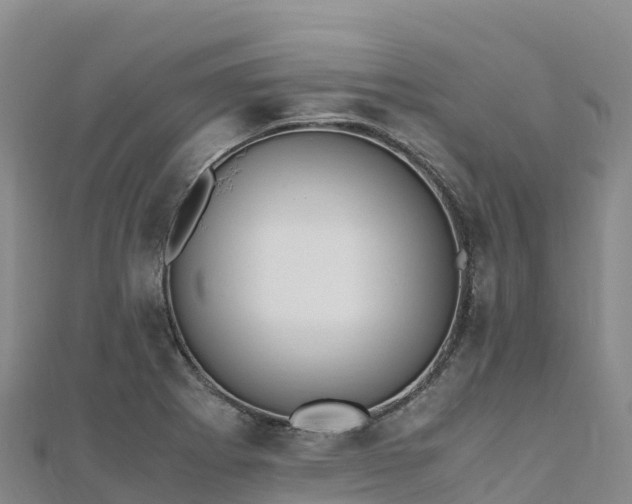 X0000110731273200906191519