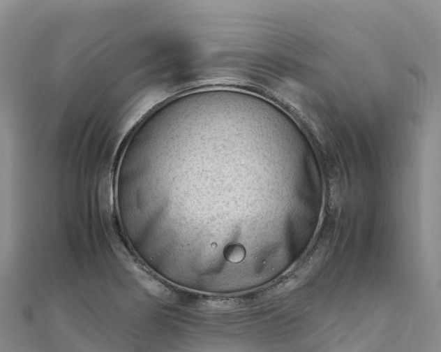 X0000110731274200906191519
