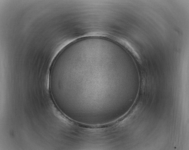 X0000110731276200906191519