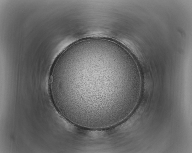 X0000110731277200906191519