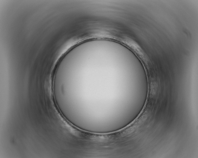 X0000110731286200906191518