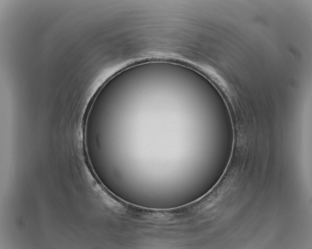 X0000110731287200906191518