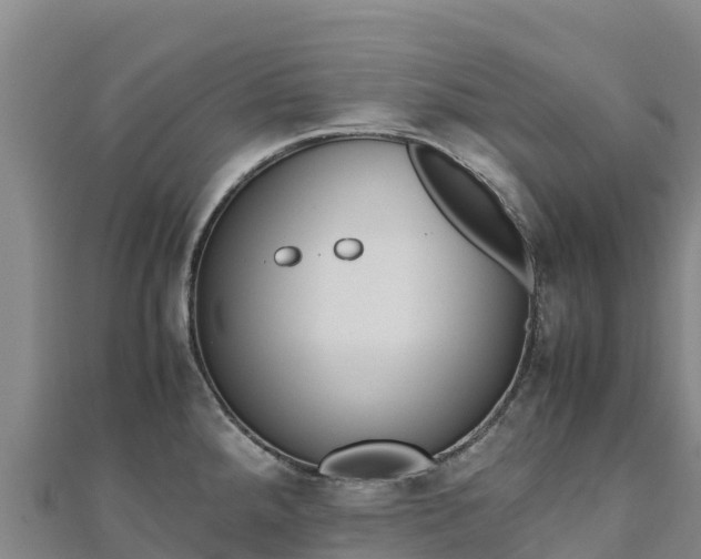 X0000110731288200906191518