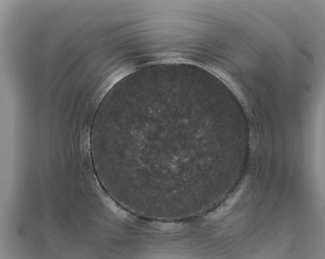 X0000110731289200906191518