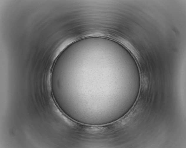 X0000110731290200906191518