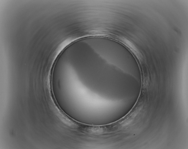 X0000110731291200906191518