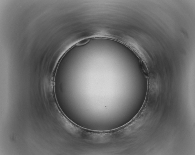 X0000110731292200906191518
