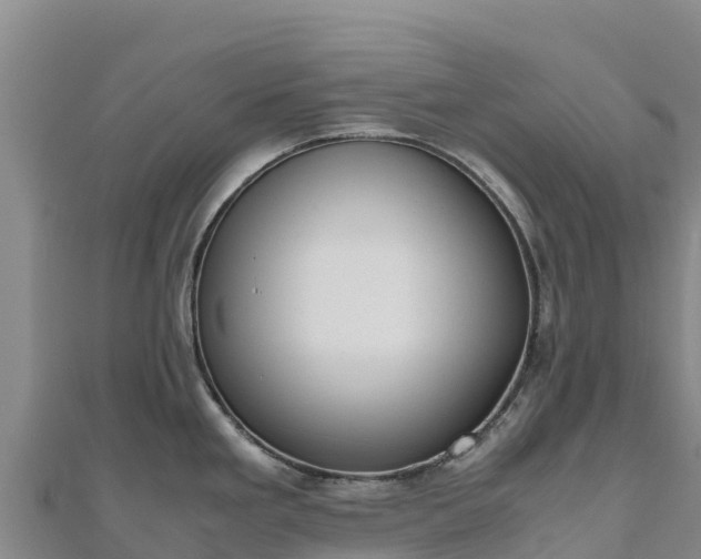 X0000110731293200906191518