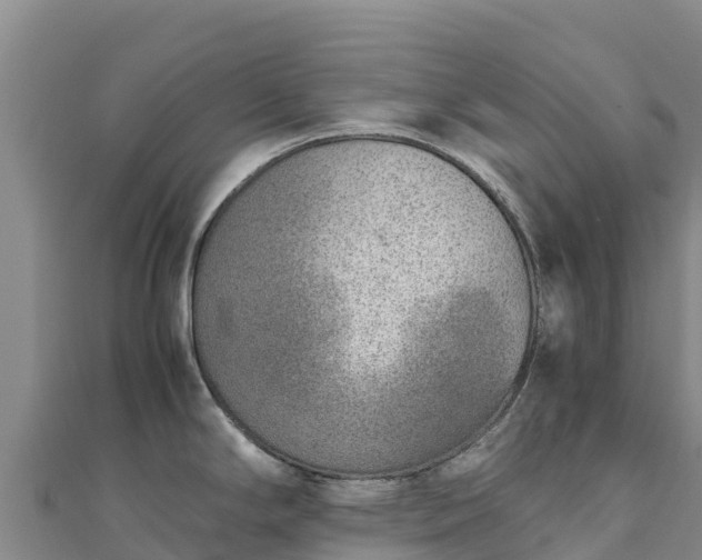 X0000110731294200906191518