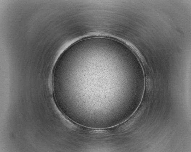 X0000110731295200906191518