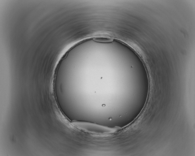 X0000110731296200906191518