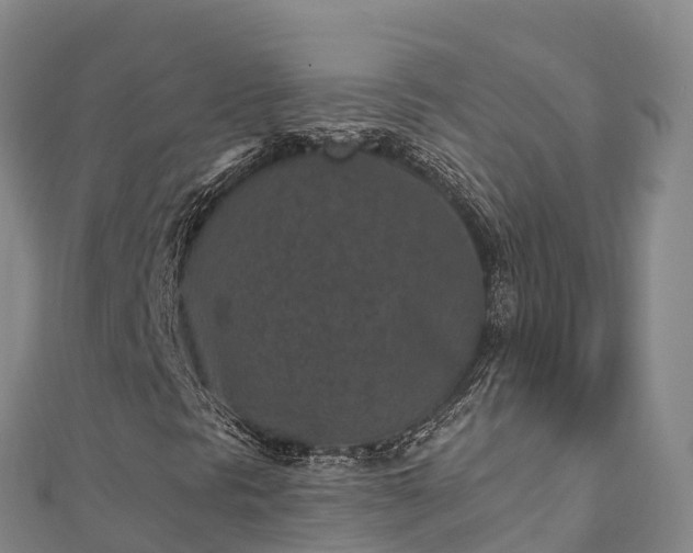 X0000110731297200906191518