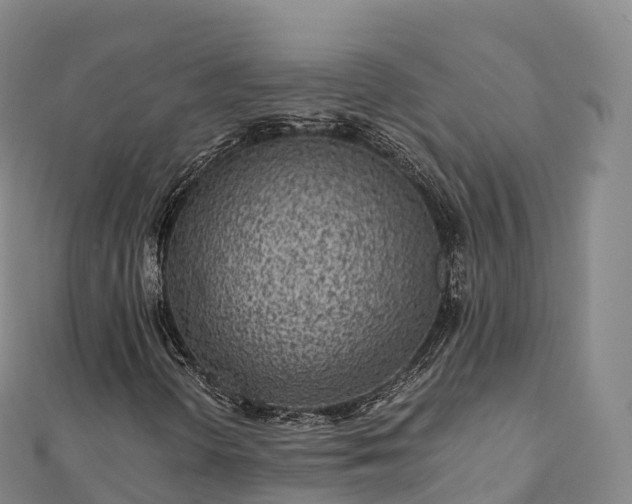 X0000110731298200906191518