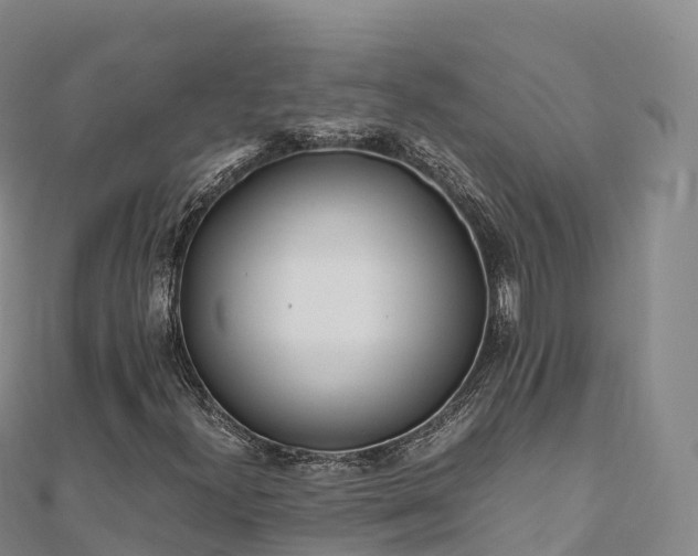 X0000110731300200906191518