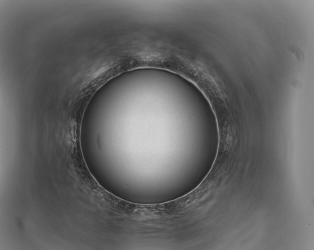 X0000110731301200906191518